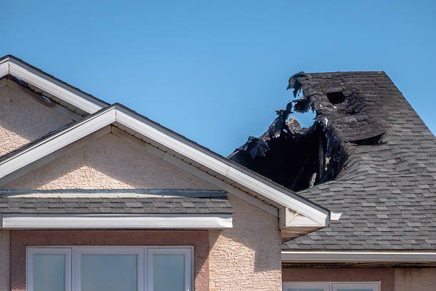 Top rated local Fire Damage Removal specialists in Glencoe, FL